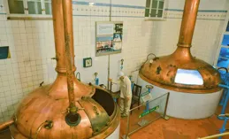 你的城市都有哪些值得一逛的博物馆?有什么不容错过的藏品?