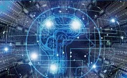 Nat Comm | AI从肺癌筛查CT图中预测心血管疾病