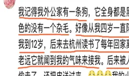 現在的狼狗真的就打得過土狗嗎?