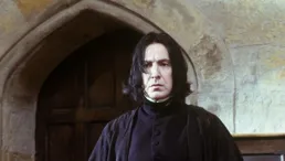 斯内普知道哈利小时候被达力霸凌时为什么并没有对哈利产生同病相怜的感情?