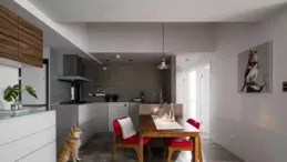 養寵物的家庭裝修時該註意什麽？