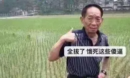 袁隆平院士逝世