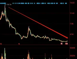 中信國安造假7年，市值蒸發400億，公司被罰60萬，股民不幹了