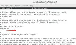 開啟靈格斯提示Start net service failed. 怎麽辦？
