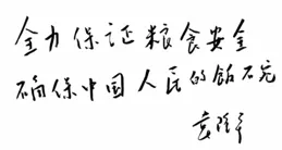 深切緬懷袁隆平先生——全力保證糧食安全，確保中國人民的飯碗