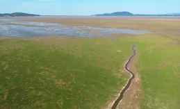 鄱陽湖還有救嗎？