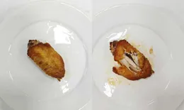 微蒸烤一體機可以買嗎？