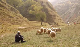 中國大西北，誰才是吃羊第一名？