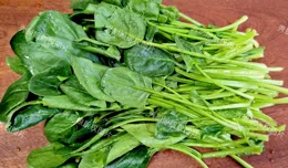 中老年睡眠差，多吃3樣「天然助眠菜」，高葉酸、安神養肝睡得香