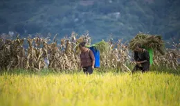 【暢遊涼都·國慶七天樂】新民梯田：勾勒大地的豐腴和壯闊