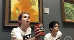 梵高【向日葵】又被潑了，「環保人士」為何屢屢對名畫下手？