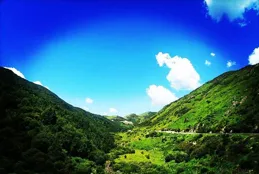 鄉村散文||我眼中的溫柔