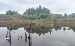 晚秋鯽魚難釣？此釣法靈敏度超高，不怕天冷魚口輕