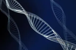 經常心慌、手抖、全身沒力氣？不能忽視，也許不是低血糖