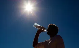 秋冬「貓跳蚤風暴」來襲？小妙招助你守住主子的毛發王國！