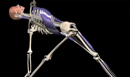 筋膜鏈的系統學習，理解不良姿勢產生的底層邏輯！