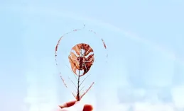 繪本、藝術作品、設計佳作、可以玩的影子劇，讓孩子們玩起來吧