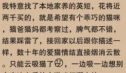 寵物行為太搞笑？網友：有時簡直像個小霸王，別提多逗了！