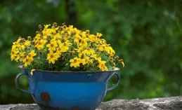 40歲以後才發現哪些錢根本沒必要花?網友掀桌式回答：太真實了