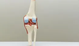 一個動作對膝蓋好，在家就能做！快試起來