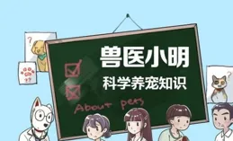 柯基病有哪些癥狀