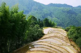 華東最大的地級市，面積比臨沂、杭州還大，GDP不如鎮江、廈門
