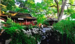 探尋醉白池，穿越千年詩韻的一泓清池幽幽