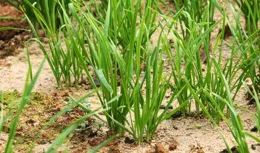 A股：十月最後的忠告，散戶即將淚流滿面，明天劇本已經寫好！