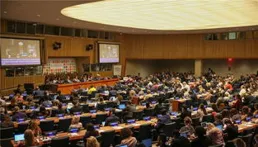 COP16領導人會議敦促加快行動保護生物多樣性