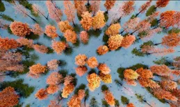 秋天的成都有哪些你私藏的公園景點值得打卡？