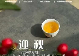 19.9元一斤的秋白茶，到底是驚喜？還是驚嚇？扒一扒低價白茶真相