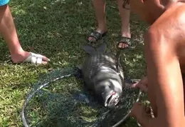 下雨天，陜西一男子拍下3個男子釣魚的樣子，釣魚人：真一模一樣