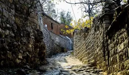 擁有這「五心」，活出屬於自己的精彩！