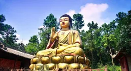 誰天生帶佛緣？揭秘四大最易成佛星座，你意想不到的溫柔守護者！