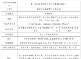 濟南股權設計：山東股章｜如何把公司分紅權做好合理劃分？