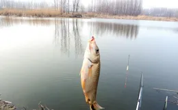 男子嘗試無人機釣魚，家中坐收十多條！別盲目跟風，我已被拉下水
