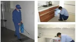 川匯區狗身上有蟲怎麽解決