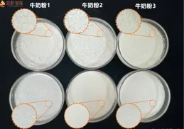 羊奶粉更好消化？模擬胃消化環境，我們做了個實驗……