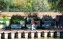 組圖丨秋日睡蓮 如詩如畫