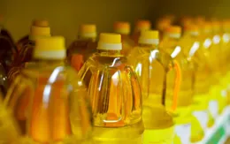 怎麽分辨是否地溝油