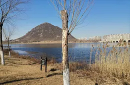 養父要把我過繼給腦癱五叔，我不願意，五叔臨終時，朝我攤開了手