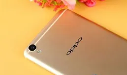 OPPO K12 Plus即將登場，續航怪獸來襲，驍龍7 Gen3加持！