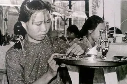 奧運獎金引發爭議？鄭欽文倒貼、樊振東無緣前十，榜一花落誰家？