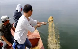 多地出現「雲夢澤」現象，自然水域不能鎖起來，發展垂釣大有可為