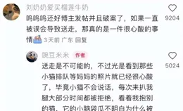 主人說把養了11年的貓放生，憤怒的網友沖進去看到最後...感動哭