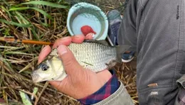 野釣5個好釣位，不會選釣位的朋友，優先考慮這些地方
