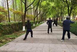 天冷了，一早去練太極拳，手冷要戴手套嗎？