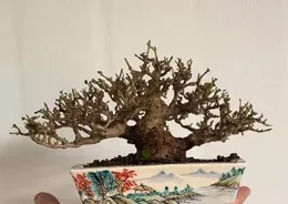 男人的快樂很簡單