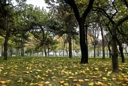 找到與成年子女的相處之道，晚年生活才能幸福