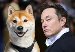 狗狗幣狂飆15%！‘DOGE’，馬斯克可能擔任關鍵職務，推向新高？